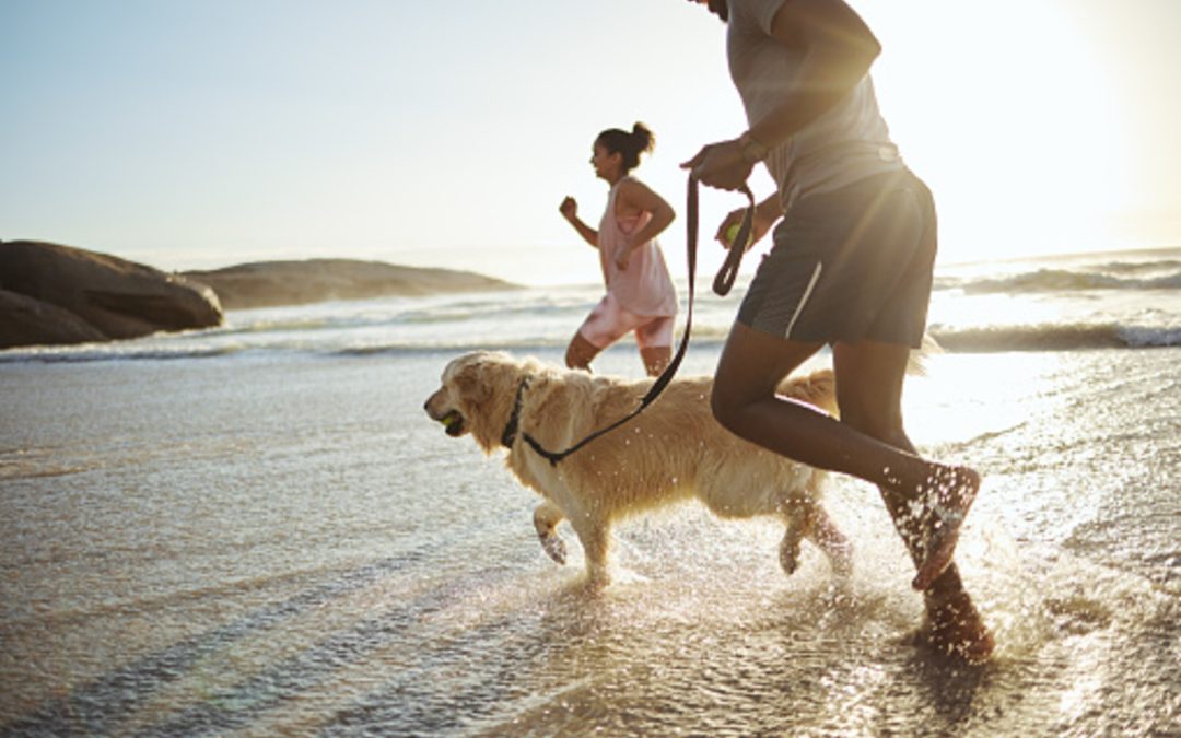 Finding Balance in a Minnesota Summer: Activities, Boundaries, and Slowing Down